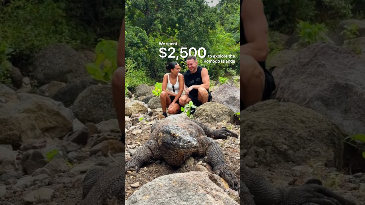 $2,500 To See Komodo Dragons!