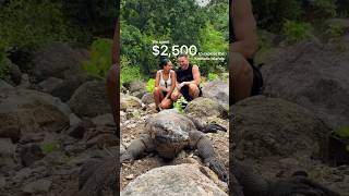 $2,500 To See Komodo Dragons!