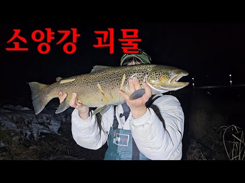 내장에 쥐가 가득하다는 유럽대물를 족대로 잡았는데..미쳤습니다...