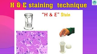#Haematoxylin & #Eosin staining technique_#deparaffinization_#alcohatreatment#H&Estaining