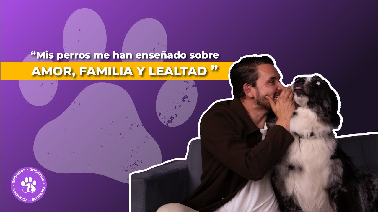 ¿Qué le enseña un perro a su familia? 🐶🐾