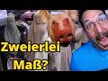 Ich sage es laut: Die Doppelmoral hinter dem Schweinekopf-Skandal.