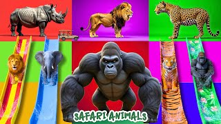 Safari Animal Sounds Song Nursery Rhyme For Kids - Learn Animal Names And Sounds
