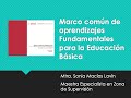 Marco Común de Aprendizajes Fundamentales para el regreso a la nueva normalidad.