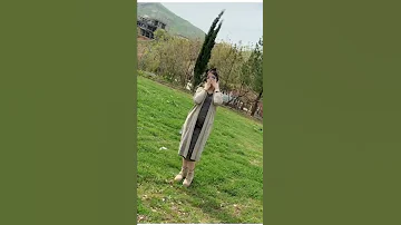 جنيد وعنوز 