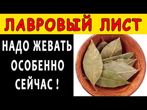 Что будет, если ПОЖЕВАТЬ ЛАВРОВЫЙ ЛИСТ 👍 Необратимые изменения произойдут в организме - ОЧИЩЕНИЕ ...