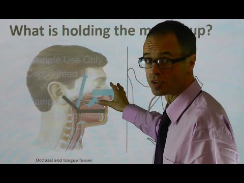 How the Tongue & Dental Biting Forces Hold the Upper Jaw/ Maxilla Up & Forward by Dr Mike Mew - YouTube