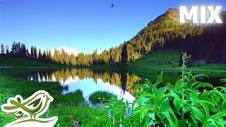 Beautiful Piano Playlist • 26 Relaxing Pieces by Peder B. Helland with Nature Clips in 4K