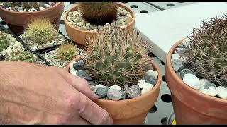 картинка: В гостях у Е. Зобова Краснодарский край