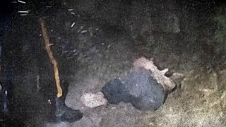 Former Gop Staffer Charged With Staging Political Attack In Nj