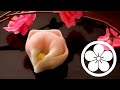Wagashi Nerikiri plum Redipe 　 和菓子 梅の練り切りの作り方