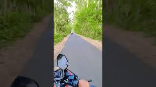 Forest view netuer #ytshorts #travel #dance  #happy #reels #bts #shorts #tiktok #fyp #vlog #funny