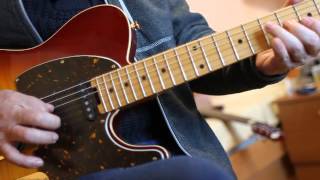 ESP Edwards E-TE-105 custom Telecaster. Jess Loureiro pickups