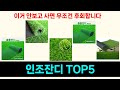 인조잔디 추천 Top5 오늘의 핫딜! 이 제품들로 똑똑한 소비 시작!