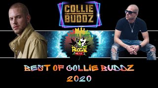 BEST OF COLLIE BUDDZ mix