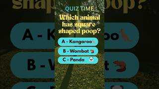 Which animal has square shaped poop #shorts # #factquest
