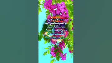 #سورة_الفلق #اكسبلور #القزابري #تيك_توك #المصحف #دويتو #الرحمن #duet #الورقات #لايك #البرزخ
