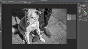 TPSi Tutorial: Photoshop White Ink