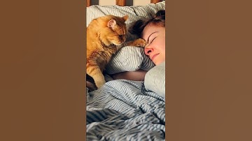 Sora Ai - text to video creator from Open AI. #artificialintelligence #sora #ai #ai