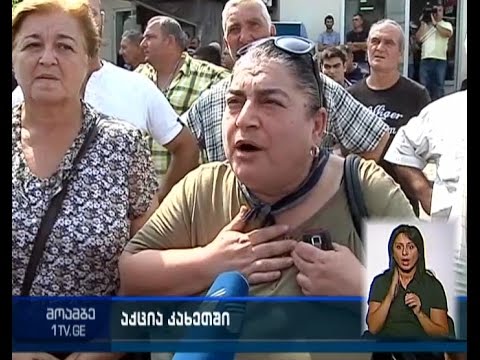 მევენახეები პარლამენტში მივიდნენ და აგრარულ საკითხთა კომიტეტის სხდომაზე დასწრება მოითხოვეს