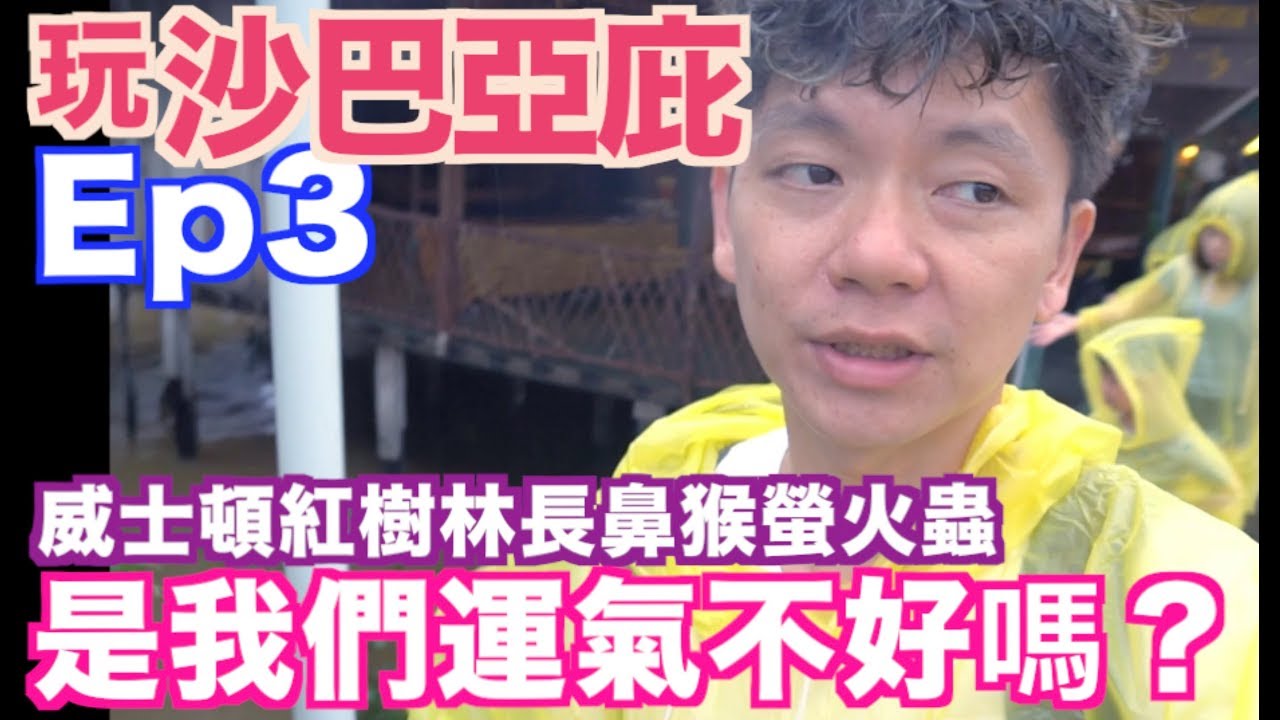 《沙巴亞庇親子自由行程Ep3》威士頓紅樹林長鼻猴與螢火蟲｜加雅街富源茶餐廳｜Weston Wetland River Cruise Proboscis Monkey【 I'm Daddy】