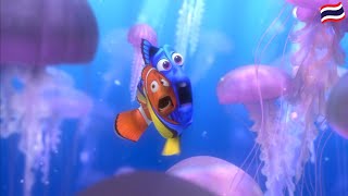 Finding Nemo Jellyfish Forest Thai
