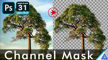 Remove complex background useing channel mask - Photoshop Basic 2020 in Hindi