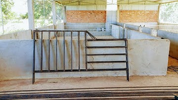 Cách Làm Chuồng Heo Nái #dạochántv
