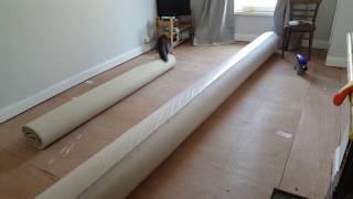 Funny - Naughty Cat Breaks Tv And Makes A Run For It... - Gracie