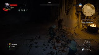 Cutting The Arm Of Nithral - The Witcher 3 Wild Hunt