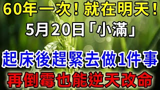 60年一次！就在明天！5月20日「小滿」不一般，起床後趕緊去做1件事，再倒霉也能逆天改命，從此有錢、有權、有貴人！|一禪語 #運勢 #風水 #佛教 #生肖 #佛語禪心