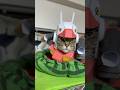 サイズを練り直しましてん　#cat #コスプレ #gundam