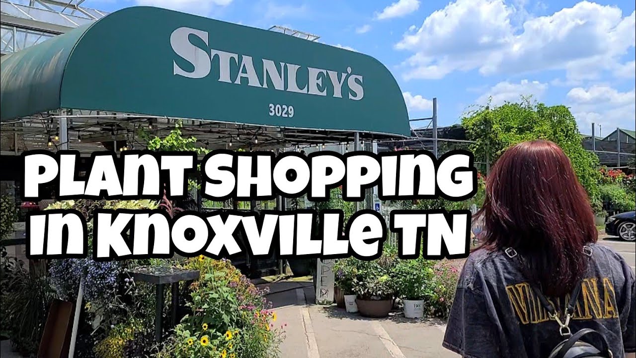 Stanley's Greenhouse in Knoxville, Tennessee!! 🌿 PLANT SHOPPING ️