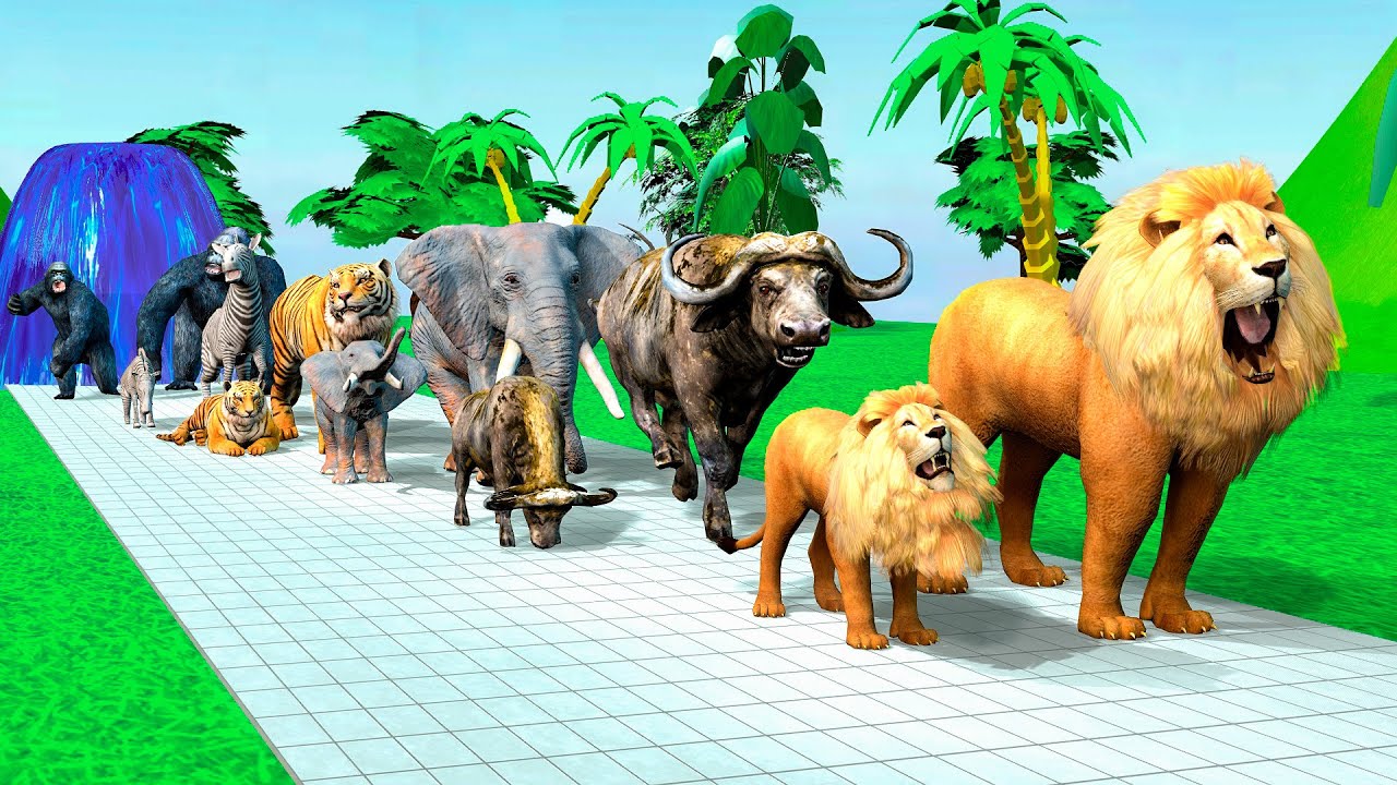 Long Slide Game with Cow Elephant Gorilla Hippopotamus Tiger 3d Animal Game Funny 3d Animals