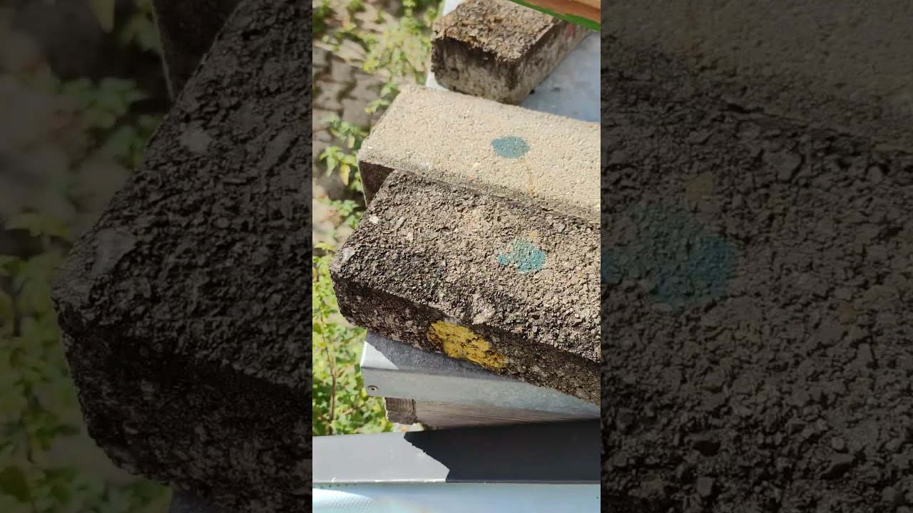 Zimovanje, vlaga i vazduh u košnici