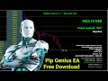 How to Back Test Forex EA Robot - YouTube