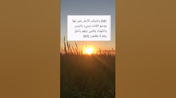 وَأَشْرَقَتِ الْأَرْضُ بِنُورِ رَبِّهَا 🌼 بصوت القارئ الشيخ صديق المنشاوي
