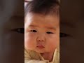 イッヌのおならに猫パンチが炸裂！手前の赤ちゃんは…#shorts