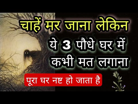 वीडियो: दोस्ताना Guerilla कंटेनर