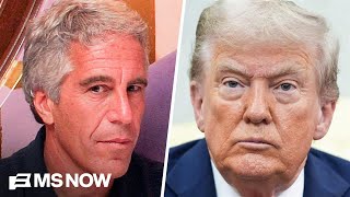 Something In The Epstein Files Scares The Living Hell Out Of The Trump Admin Sen. Durbin