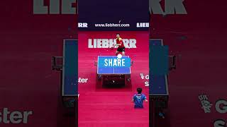 🏓TOTAL CONTROL 🤯🔥 Koki Niwa vs Fan Zhendong #KokiNiwa #TableTennis #PingPong