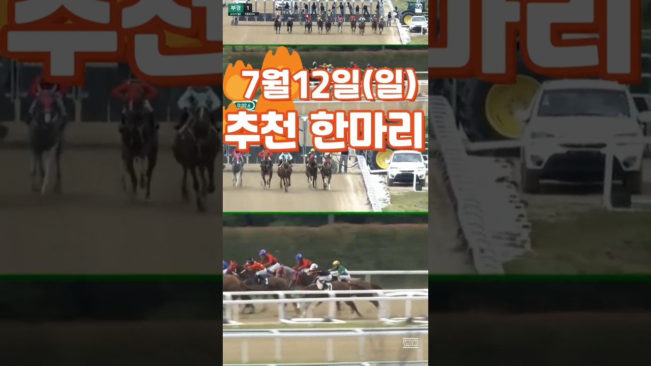 🥎추천 한마리💥7월12일(일요)🐎부산1경주⚡보령더퀸💕다크호스경마⚡경마예상👌경마🎈경마장😊경마방송🐎경마예상방송🥎경마실시간🚩경마예상가🏐경마정보⚾경마공원🏀이종현🔵오세현⚽클파⚾짱🚩다크호스