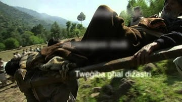 ECHO@20: Għax jimpurtana -- naġixxu