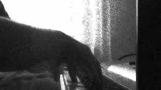 Alberto Ginastera - Prelude no. 2 op .12 Sadness Triste