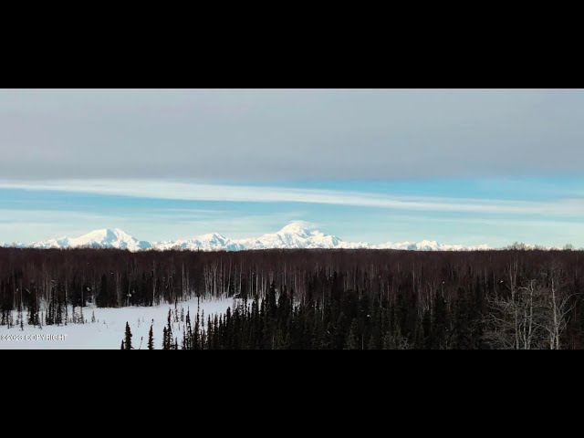 Cabins on 80 Alaskan Acres With Fantastic Denali and Alaska Range views.