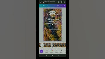 Canva New feature (2023) Translate your text to any language easily using canva #canvaforbeginners