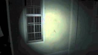 Spooky Saturday: PT