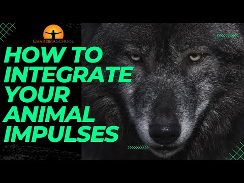 How to Integrate Your Animal Impulses (Video 2/6)