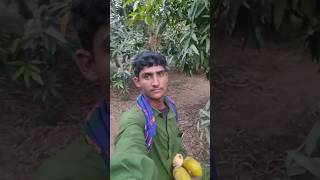 Anil Ambani Ke Shahar Rajkot Kutch ke famous Godown security Lekar Gaye