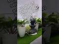 mini garden//tukang taman #minigarden #tukangtaman #tukangtamanjakarta #tamanminimalis #tanamahias